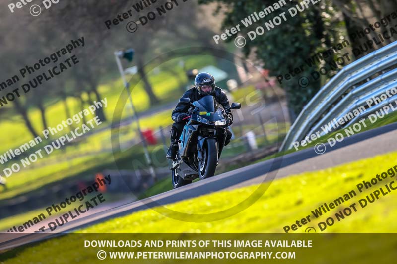 Oulton Park 20th March 2020;PJ Motorsport Photography 2020;anglesey;brands hatch;cadwell park;croft;donington park;enduro digital images;event digital images;eventdigitalimages;mallory;no limits;oulton park;peter wileman photography;racing digital images;silverstone;snetterton;trackday digital images;trackday photos;vmcc banbury run;welsh 2 day enduro